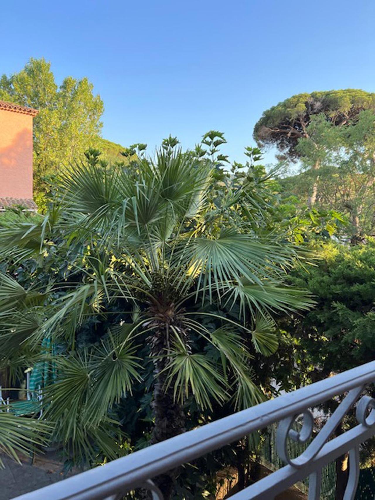 Superbe Appartement Terrasse Et Parking Prive Σαιν-Τροπέ Εξωτερικό φωτογραφία